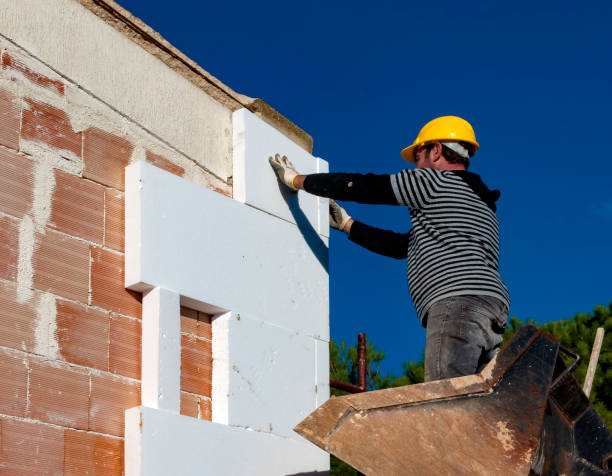 Best Geographic-Specific Insulation Services in , NV