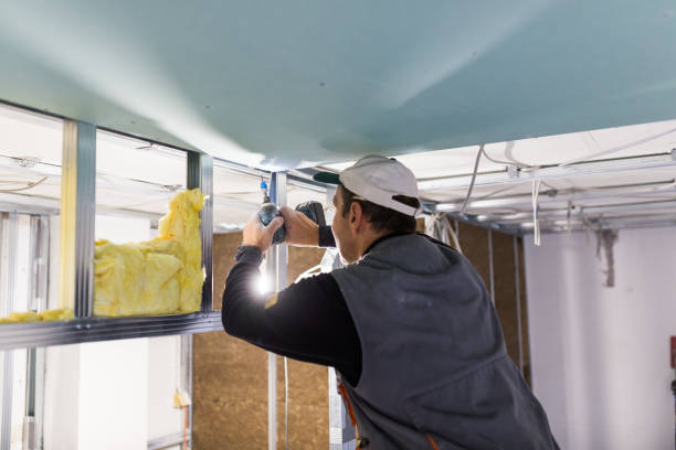 Best Specialized Insulation Services in , NV