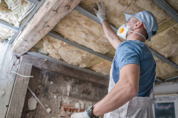 Best Blown-in Insulation in , NV