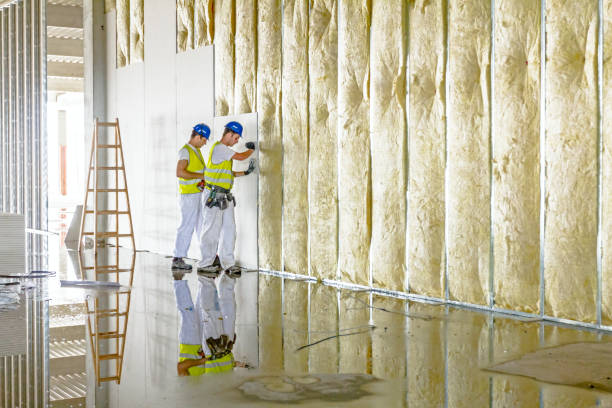 Best Cellulose Insulation in , NV